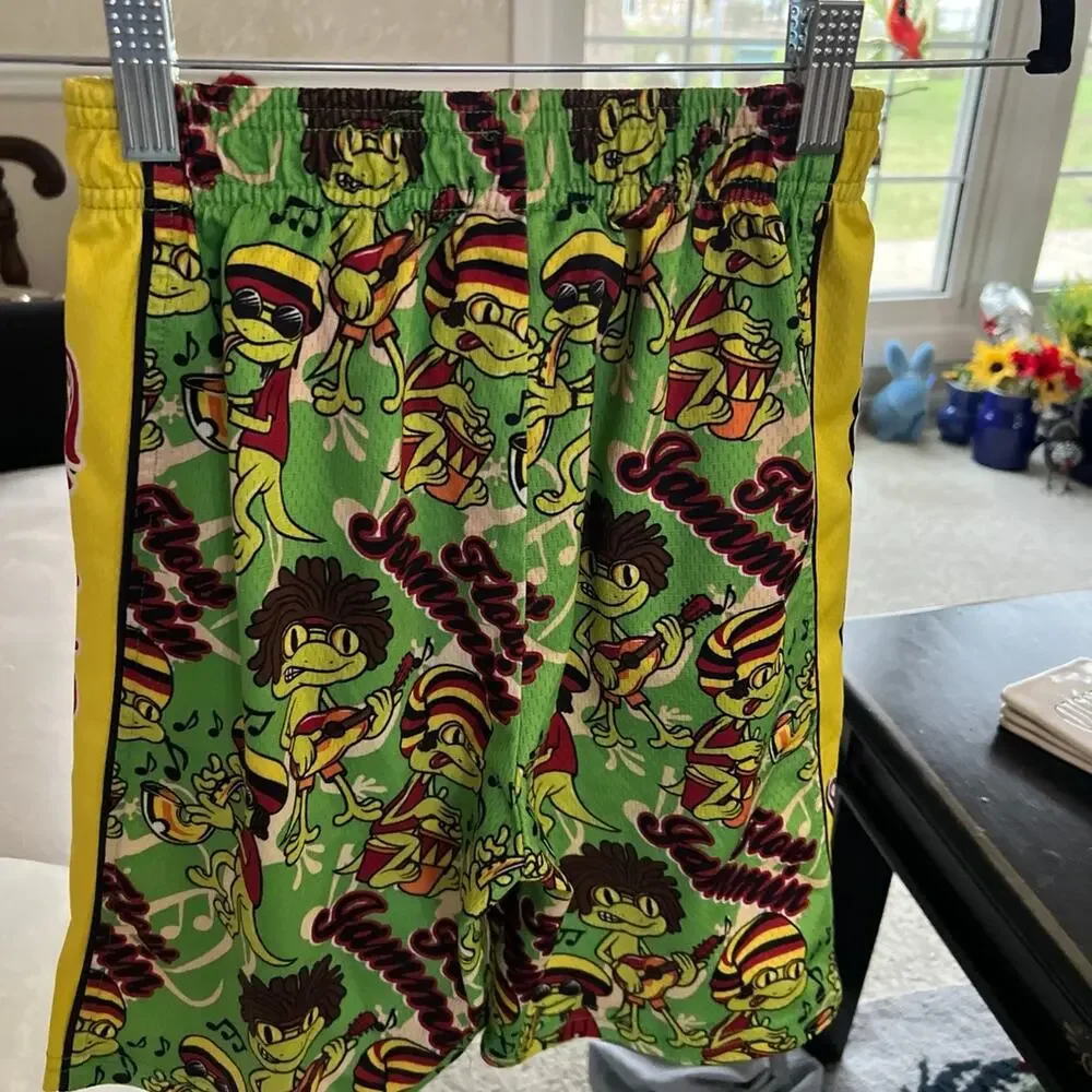 Flow society frog jammin shorts‎ boys medium